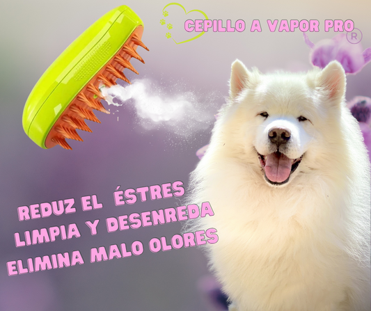 CEPILLO A VAPOR PARA MASCOTAS